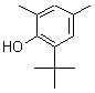 1879-09-0 2-tert-Butyl-4,6-dimethylphenol