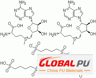 101020-79-5 S-Adenosylmethio<em></em>nine 1,4-butanedisulfonate