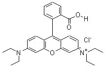 81-88-9 Rhodamine B
