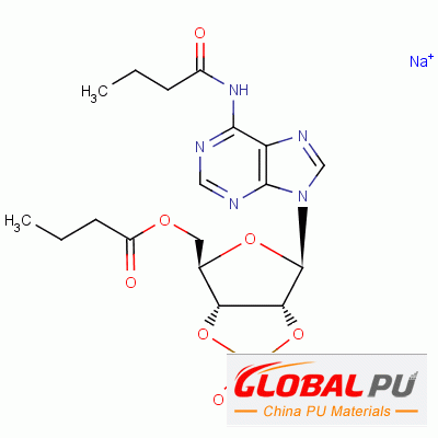 16980-89-5 N6-2'-O-Dibutyryl-adenosine 3',5'-cyclophosphate sodium salt monohydrate